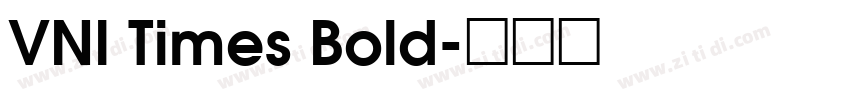 VNI Times Bold字体转换